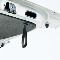 Tailgate strap